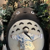 颯稀（さつき）